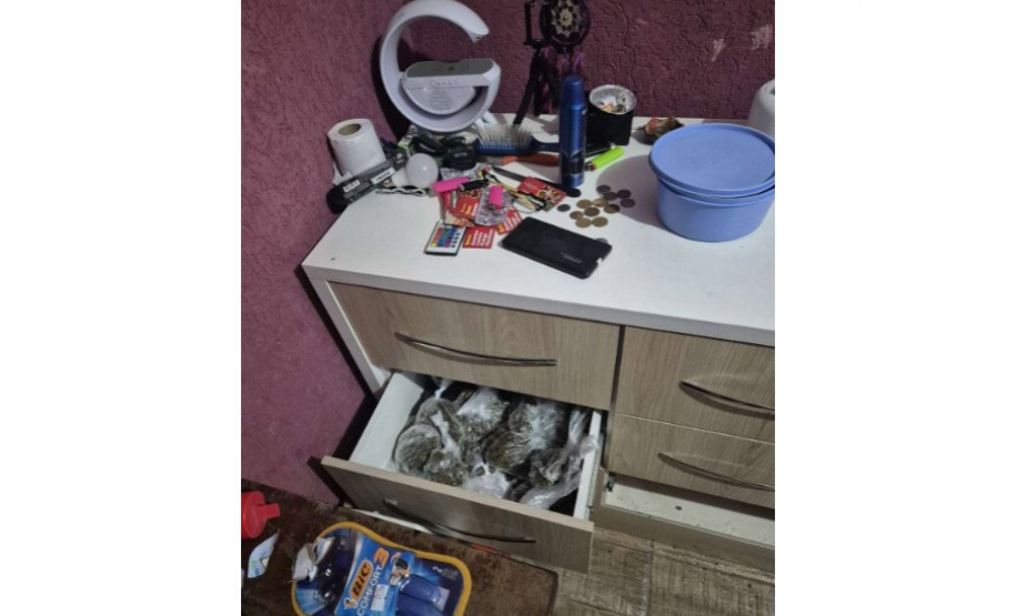 PCPR apreende 327 quilos de maconha gourmet e prende três pessoas por tráfico