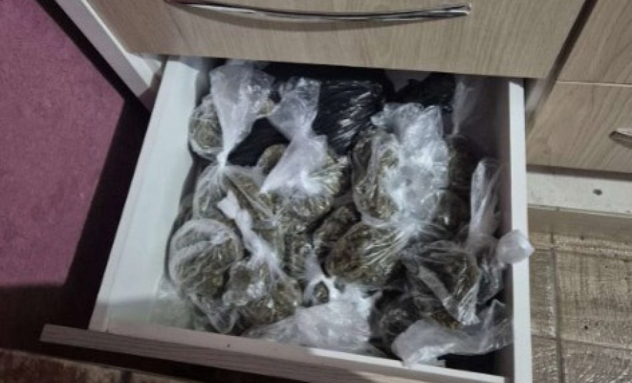 PCPR apreende 327 quilos de maconha gourmet e prende três pessoas por tráfico