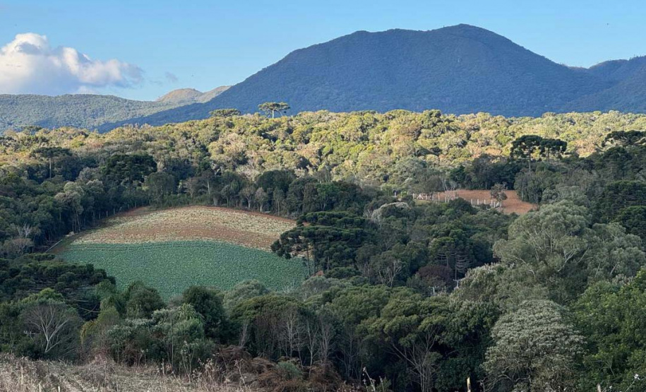 Opção para o final de semana: São José dos Pinhais oferece turismo em meio à Mata Atlântica