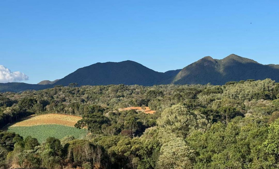 Opção para o final de semana: São José dos Pinhais oferece turismo em meio à Mata Atlântica