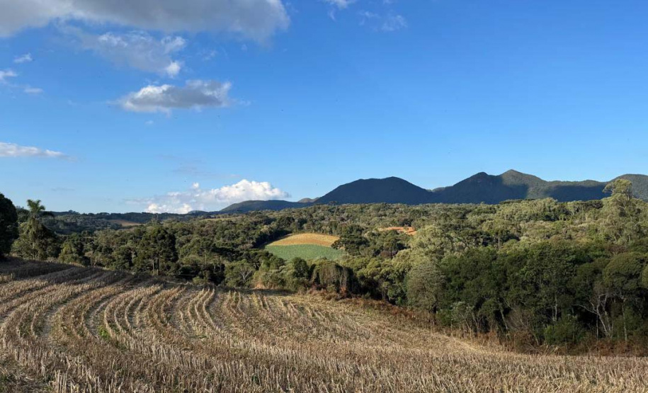 Opção para o final de semana: São José dos Pinhais oferece turismo em meio à Mata Atlântica