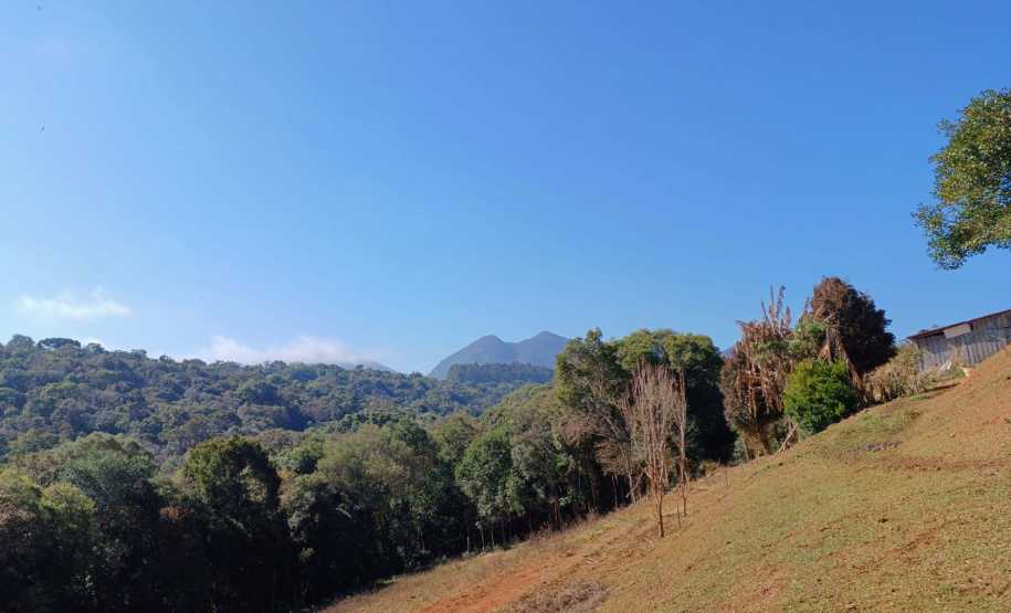 Opção para o final de semana: São José dos Pinhais oferece turismo em meio à Mata Atlântica