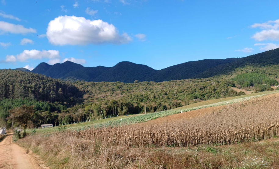 Opção para o final de semana: São José dos Pinhais oferece turismo em meio à Mata Atlântica