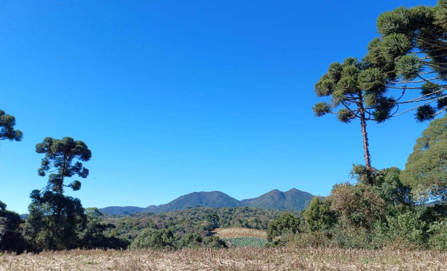 Opção para o final de semana: São José dos Pinhais oferece turismo em meio à Mata Atlântica