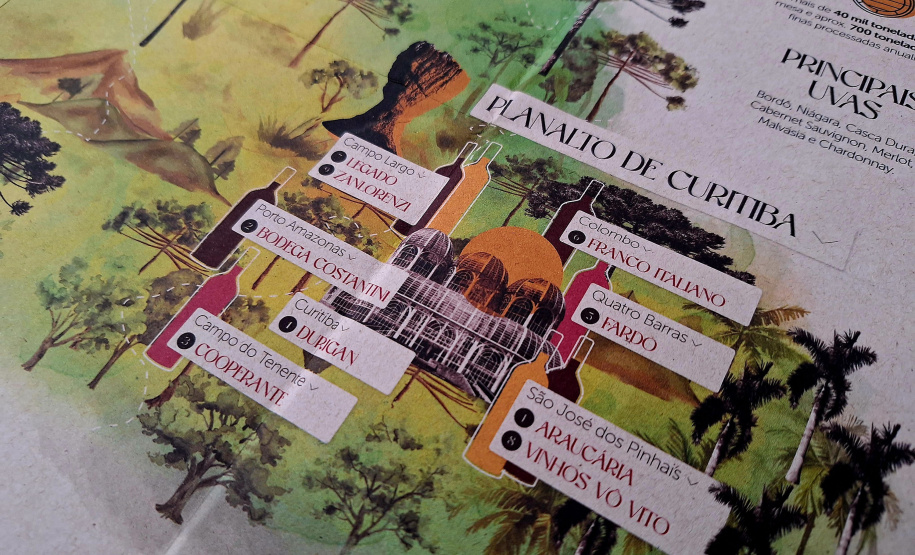 Com novo Mapa do Enoturismo, Paraná valoriza vinhos estaduais e visitas a produtores locais