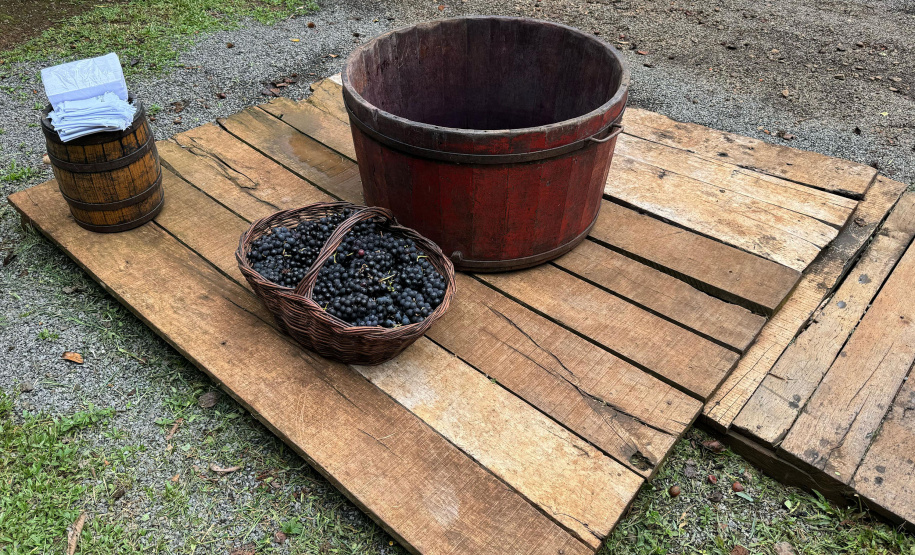 Com novo Mapa do Enoturismo, Paraná valoriza vinhos estaduais e visitas a produtores locais