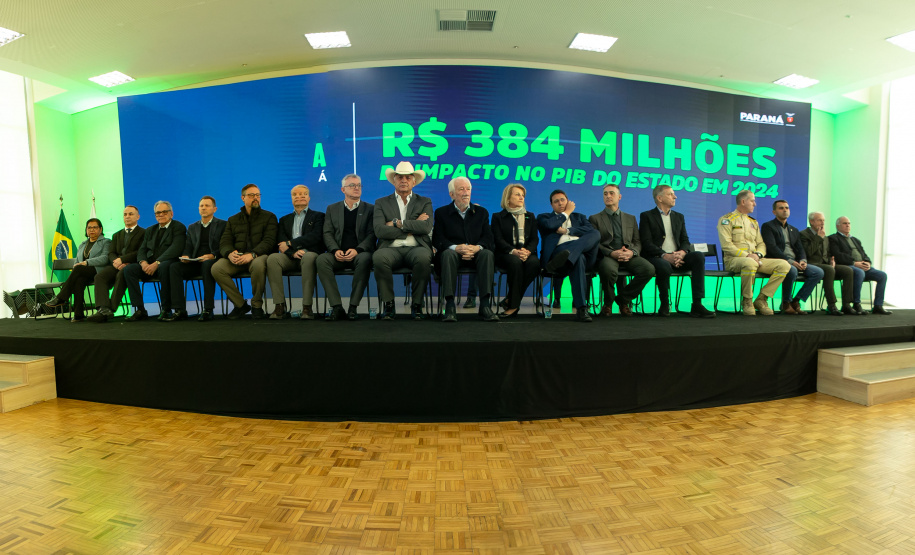 DESCOMPLICA PARANÁ VICE