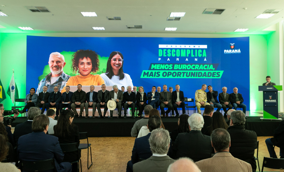 DESCOMPLICA PARANÁ VICE