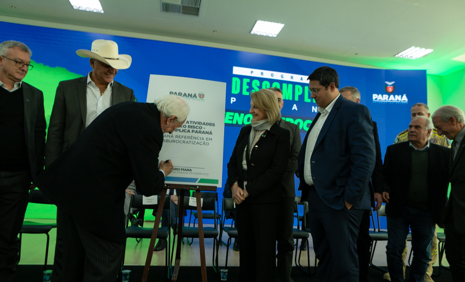 DESCOMPLICA PARANÁ VICE