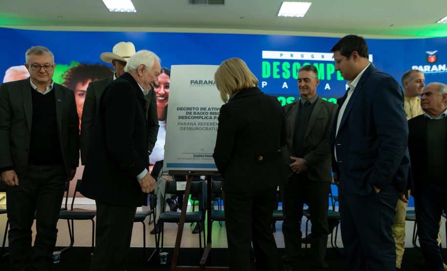 DESCOMPLICA PARANÁ VICE