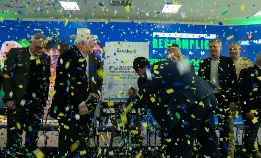 DESCOMPLICA PARANÁ VICE