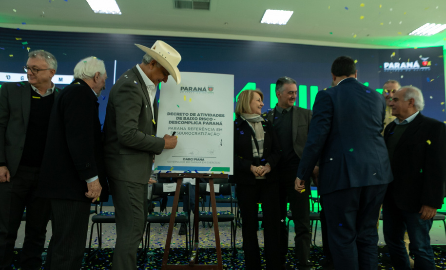 DESCOMPLICA PARANÁ VICE