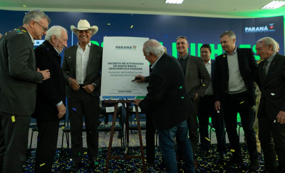 DESCOMPLICA PARANÁ VICE