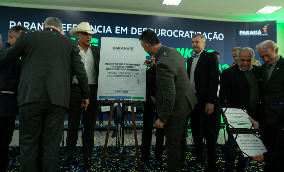 DESCOMPLICA PARANÁ VICE