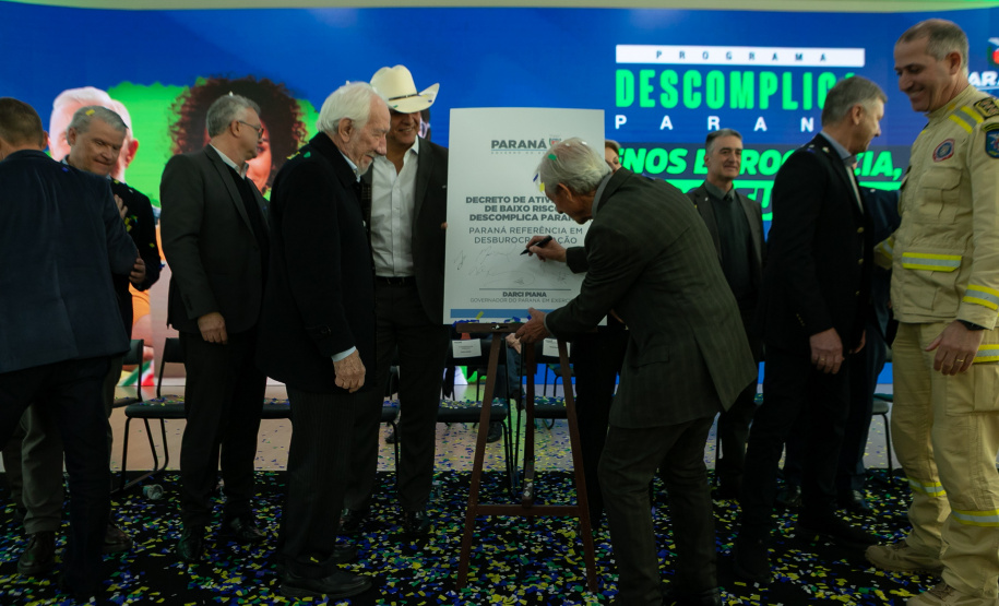 DESCOMPLICA PARANÁ VICE