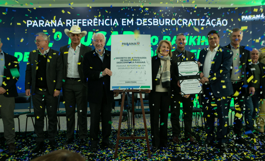 DESCOMPLICA PARANÁ VICE