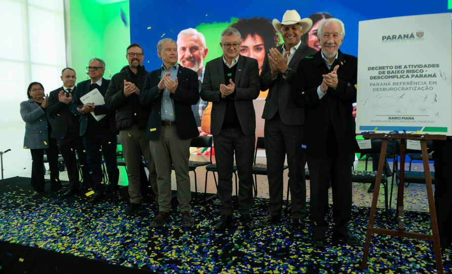 DESCOMPLICA PARANÁ VICE