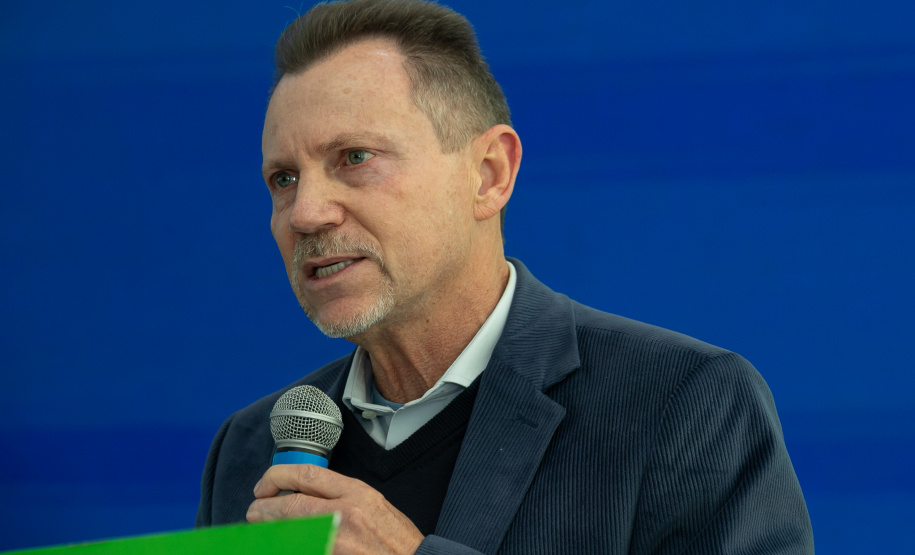 DESCOMPLICA PARANÁ VICE