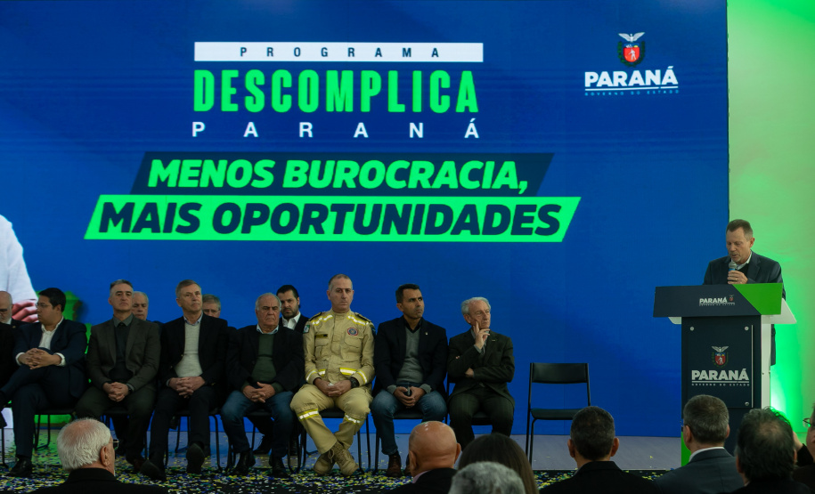 DESCOMPLICA PARANÁ VICE