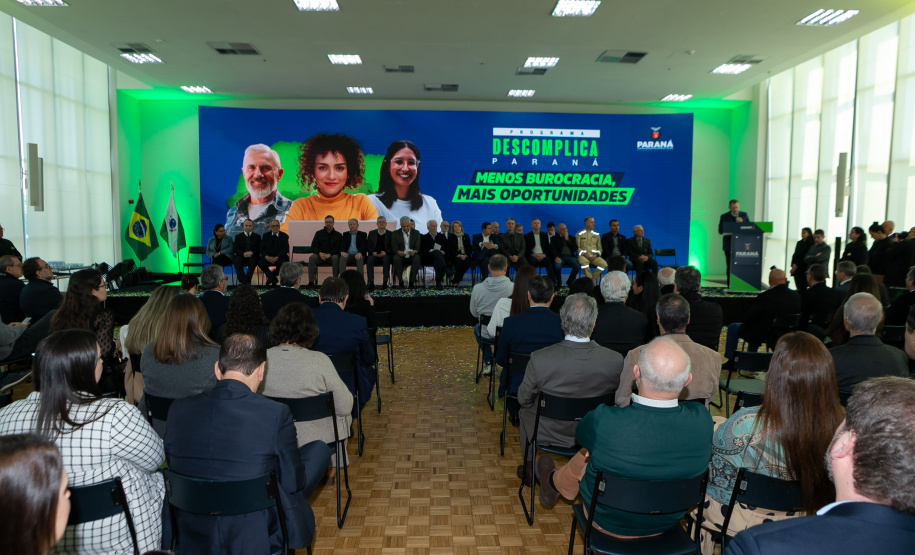 DESCOMPLICA PARANÁ VICE