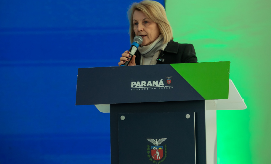 DESCOMPLICA PARANÁ VICE