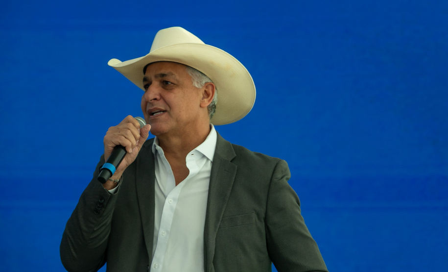 DESCOMPLICA PARANÁ VICE