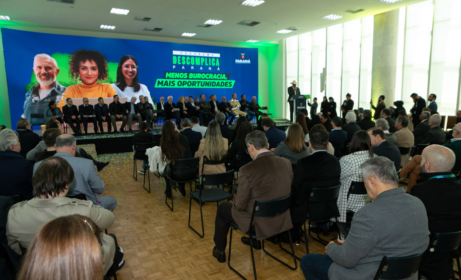 DESCOMPLICA PARANÁ VICE