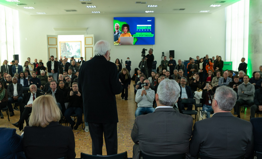 DESCOMPLICA PARANÁ VICE