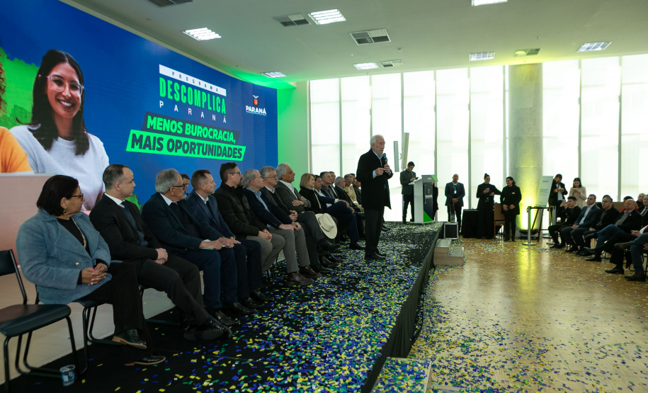 DESCOMPLICA PARANÁ VICE