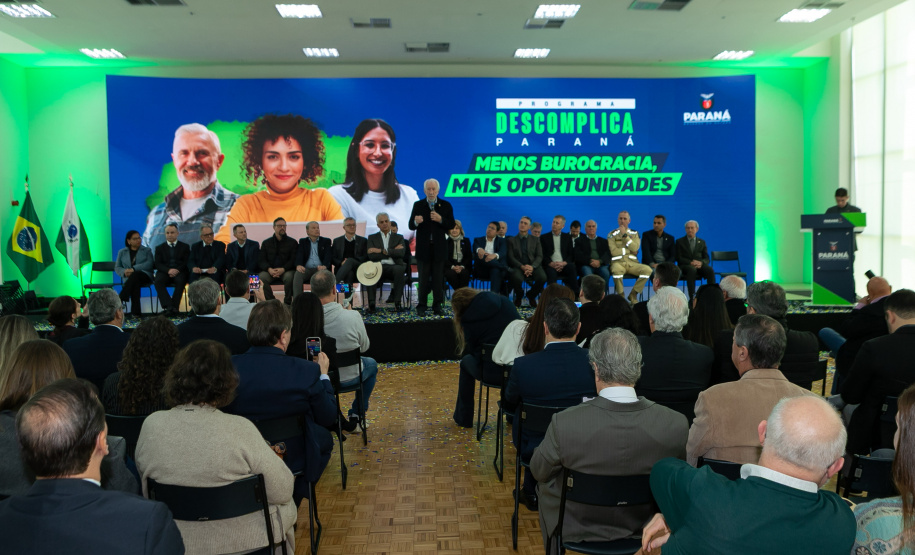 DESCOMPLICA PARANÁ VICE
