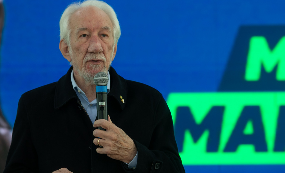 DESCOMPLICA PARANÁ VICE