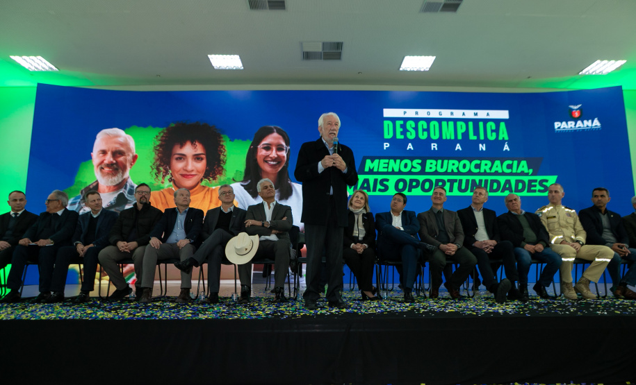 DESCOMPLICA PARANÁ VICE
