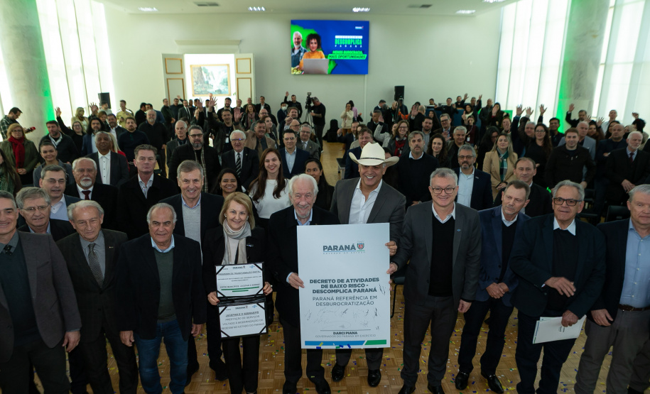 DESCOMPLICA PARANÁ VICE