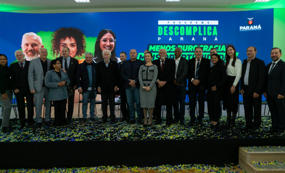 DESCOMPLICA PARANÁ VICE