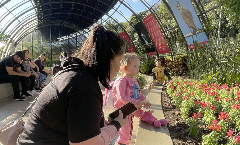 Exposição Fauna Ameaçada é Fauna a Ser Salva" atrai turistas para o Jardim Botânico de Curitiba