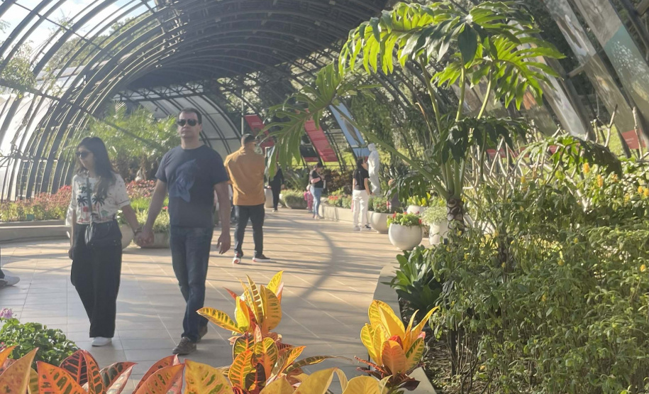 Exposição Fauna Ameaçada é Fauna a Ser Salva" atrai turistas para o Jardim Botânico de Curitiba