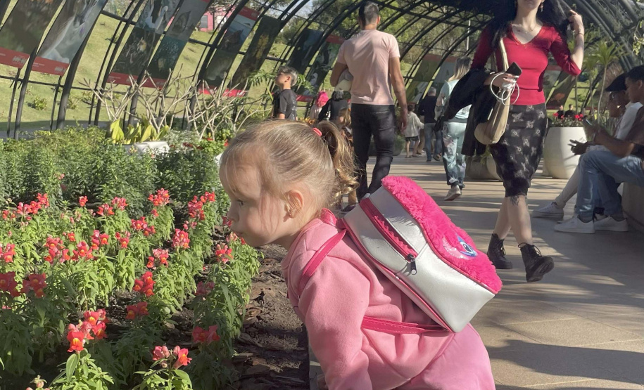 Exposição Fauna Ameaçada é Fauna a Ser Salva" atrai turistas para o Jardim Botânico de Curitiba