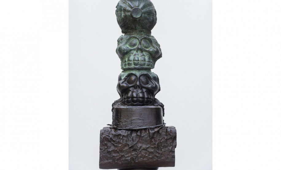 MON realiza exposição do artista contemporâneo Barrão