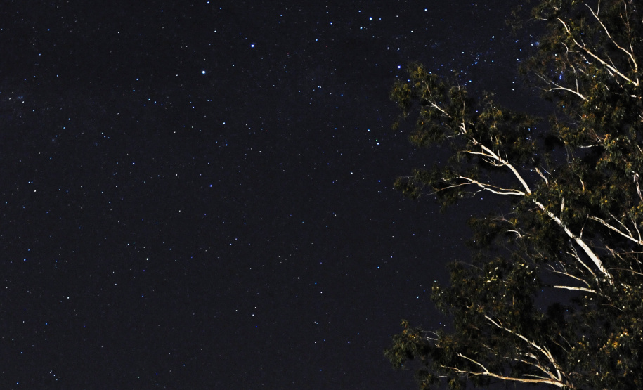 Com investimento de R$ 2,3 milhões, revitalização do Jardim Botânico de Londrina está prevista para começar neste semestre