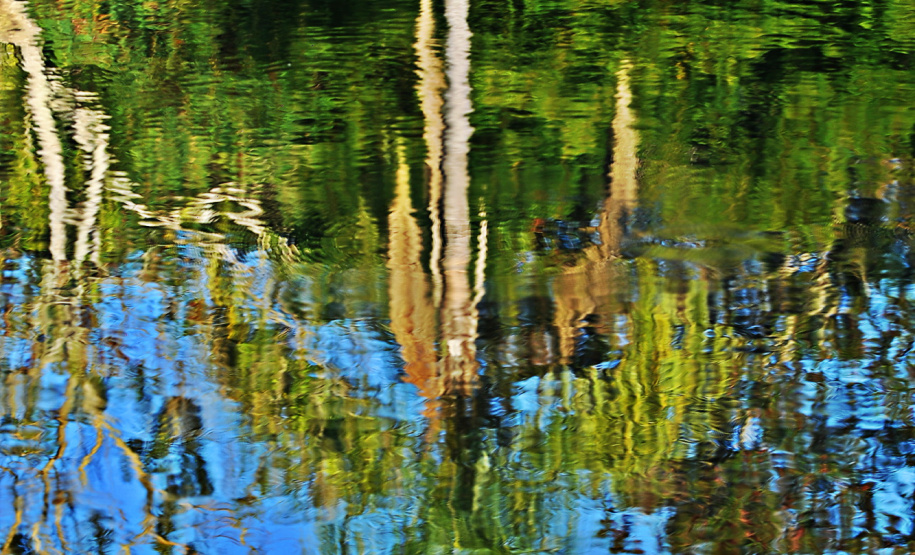 Com investimento de R$ 2,3 milhões, revitalização do Jardim Botânico de Londrina está prevista para começar neste semestre