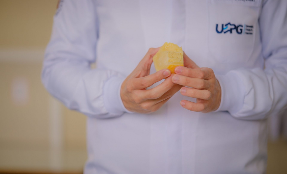 Domitila Gonzalez | Fotos do Prêmio Queijos do Paraná: Sistema Faep.