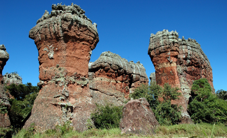 Novo recorde: Unidades de Conservação do Paraná receberam mais de 336 mil visitantes no primeiro semestre de 2025.