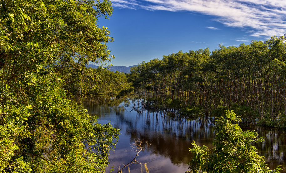 Novo recorde: Unidades de Conservação do Paraná receberam mais de 336 mil visitantes no primeiro semestre de 2025.