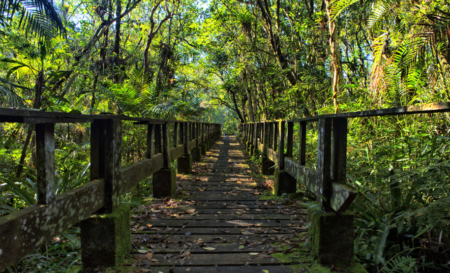 Novo recorde: Unidades de Conservação do Paraná receberam mais de 336 mil visitantes no primeiro semestre de 2025.