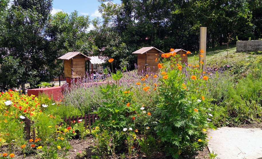 Sanepar inicia 20 atividades em Mangueirinha para falar de saneamento e meio ambiente