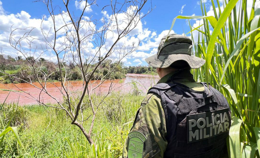 Polícia Militar do Paraná resgata 216 animais e coíbe desmatamento em área de 159 hectares durante Mês do Meio Ambiente