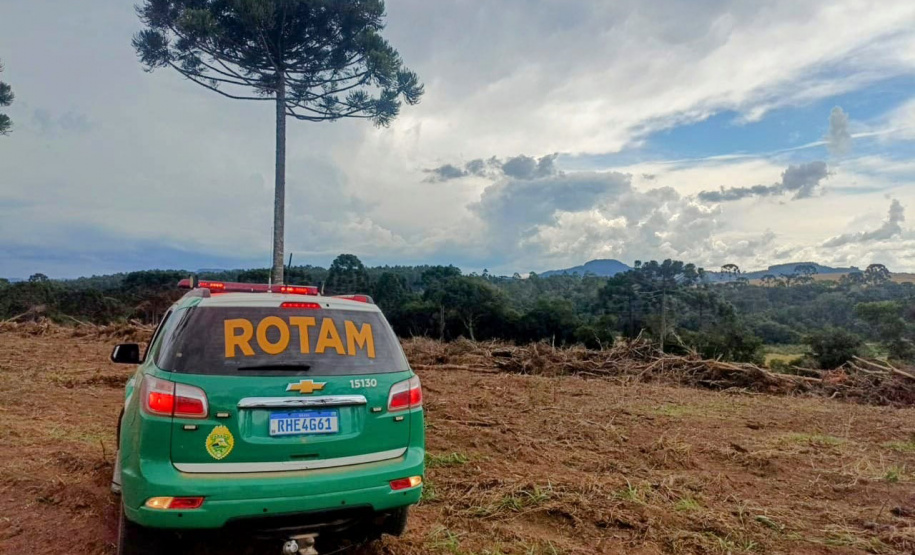 Polícia Militar do Paraná resgata 216 animais e coíbe desmatamento em área de 159 hectares durante Mês do Meio Ambiente