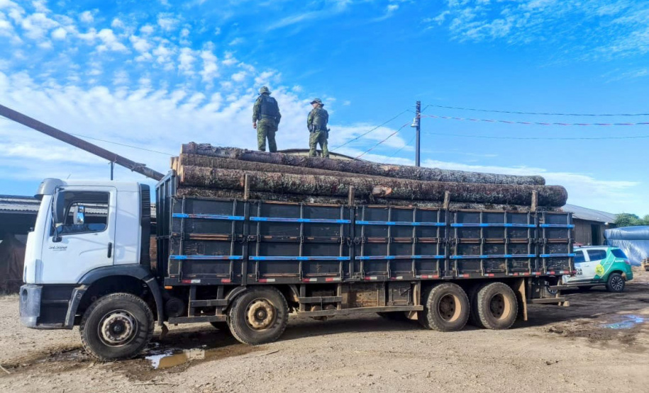 Polícia Militar do Paraná resgata 216 animais e coíbe desmatamento em área de 159 hectares durante Mês do Meio Ambiente