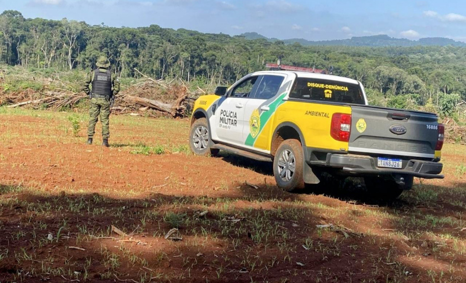 Polícia Militar do Paraná resgata 216 animais e coíbe desmatamento em área de 159 hectares durante Mês do Meio Ambiente