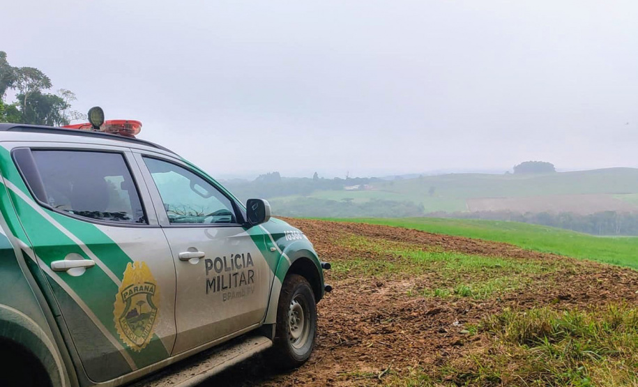 Polícia Militar do Paraná resgata 216 animais e coíbe desmatamento em área de 159 hectares durante Mês do Meio Ambiente